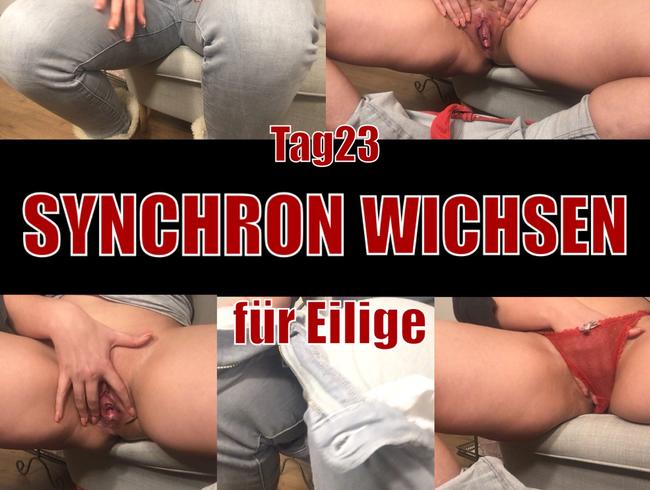 Tag 23 – SYNCHRON WICHSEN