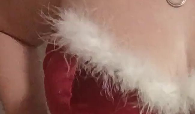 Ich bin Santas Geheimwaffe und sein kleines Geheimnis