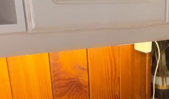Tätowierte Schlampe fingert sich auf der Küchenablage mit Dildo!